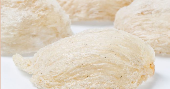 giá-tổ-yến-bao-nhiêu giá tổ yến bao nhiêu
