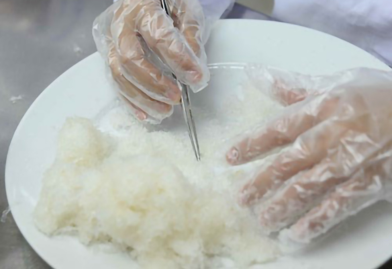 nhặt lônh yến 1