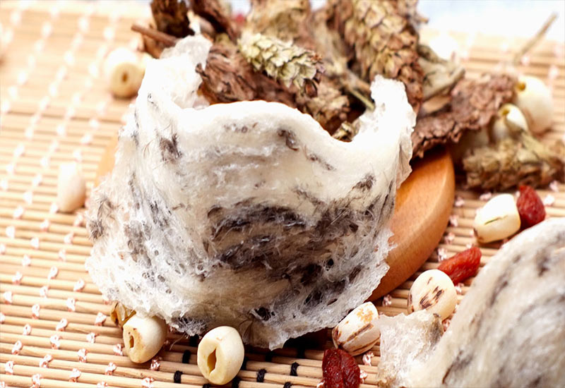 thời điểm ăn yến sào