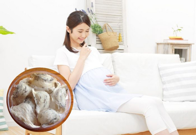 tổ yến cho mẹ bầu