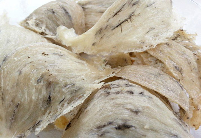 giá tổ yến