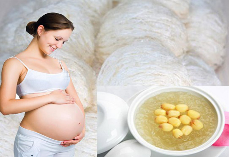 yến sào cho bà bầu 2