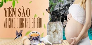 yến sào cho bà bầu và công dụng