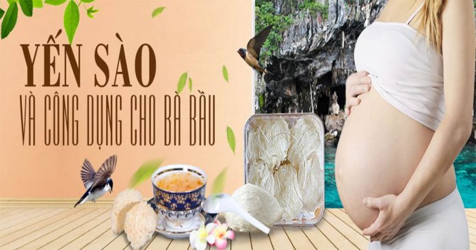 yến-sào-cho-bà-bầu-và-công-dụng yến sào cho bà bầu và công dụng